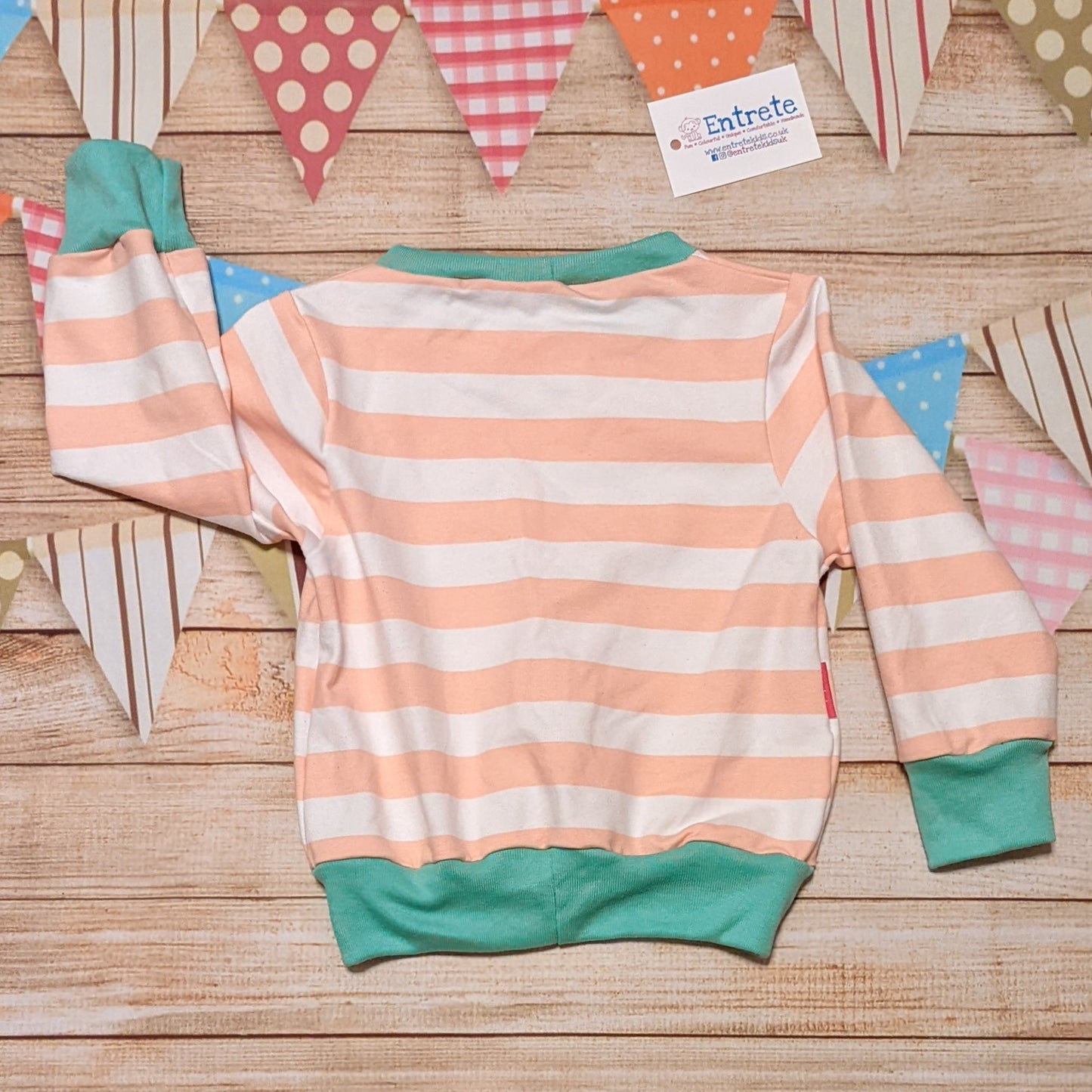 Pink and white striped sweatshirt. Handmade using pink striped cotton French terry and mint cotton ribbing. Shown from the rear.