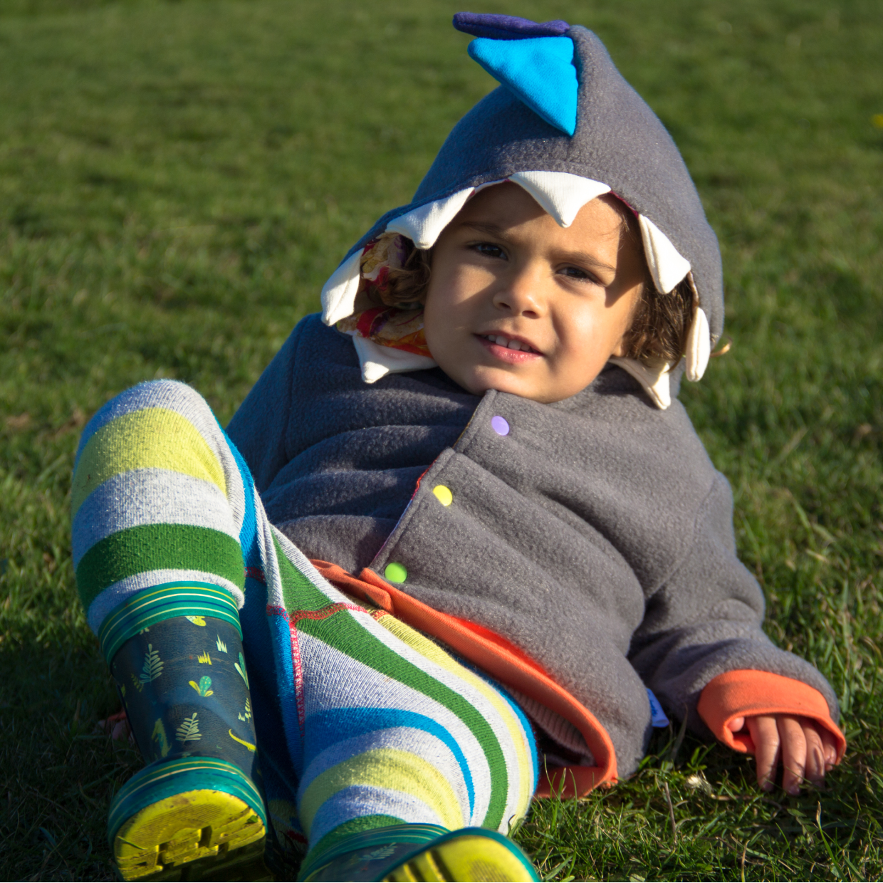 Reversible Popper Hoodie or Sleeveless - Grey & Orange Dinosaur / Feathers & Orange