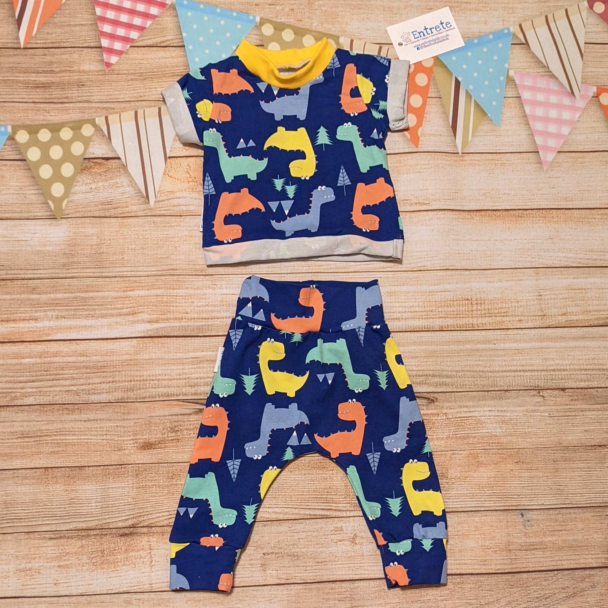 Prehistoric fun with the blue dinosaur harem pants, shown as an outfit with a matching short sleeved T-shirt.