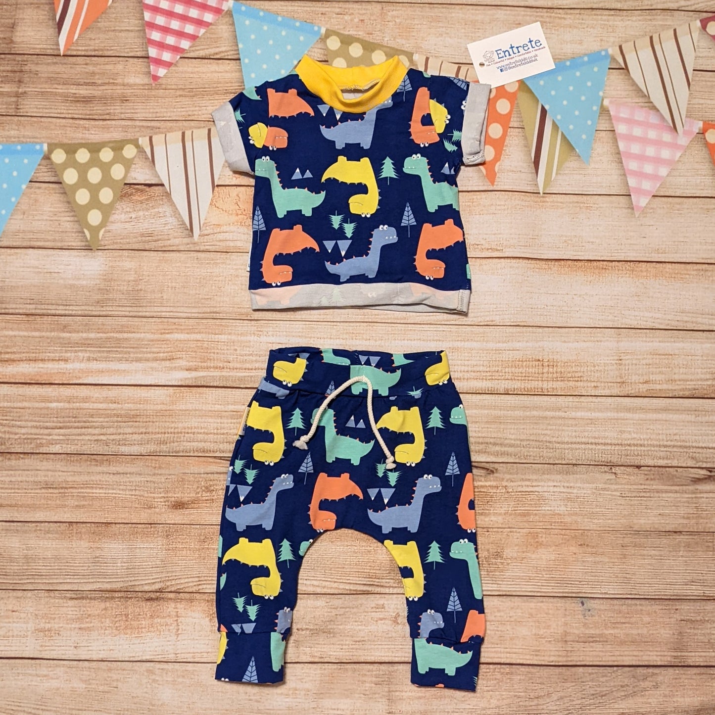 The fabulous blue dinosaurs harem joggers, shown as an outfit with a matching short sleeved T-shirt, perfect for your dinosaur fanatic.